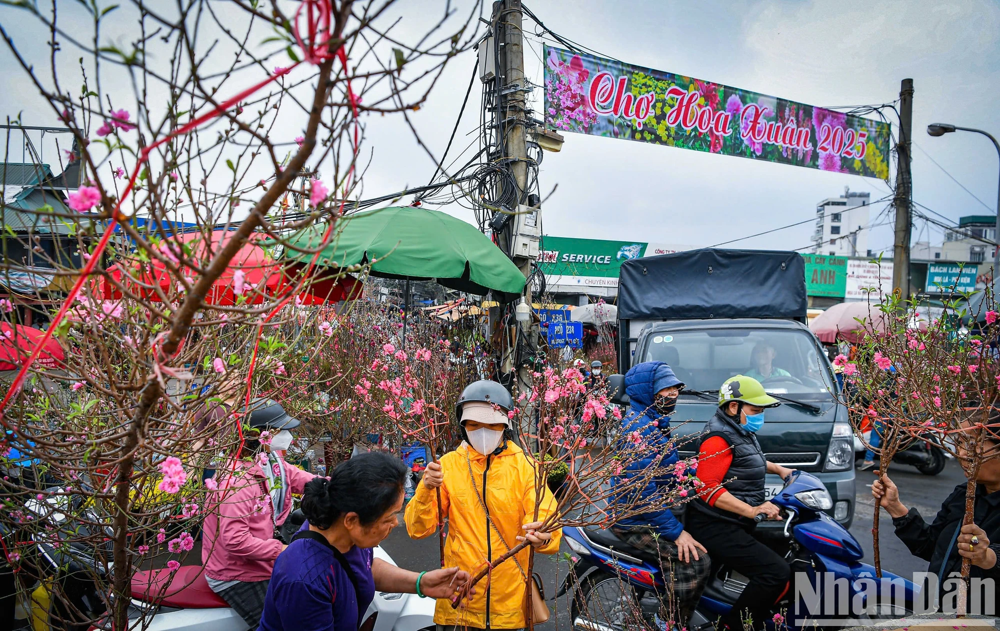 [Ảnh] Chợ hoa xuân Hà Nội nhộn nhịp ngày cận Tết ảnh 1