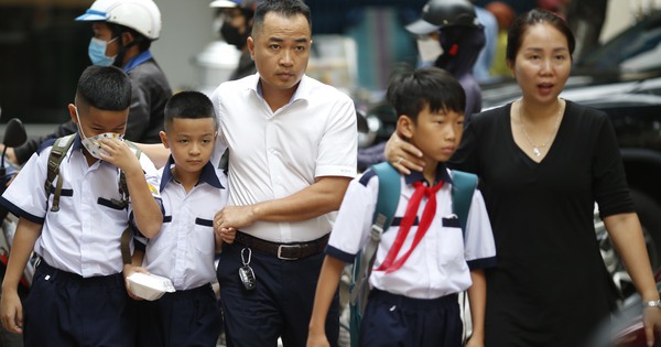 ホーチミン市の小学校入学状況について、教育訓練省は何と言っていますか？