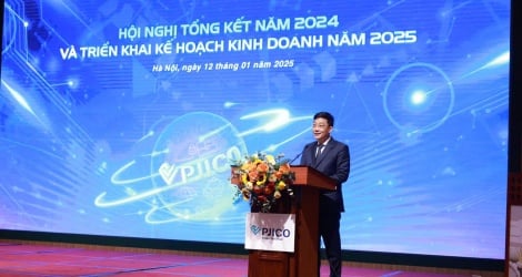 PJICO vượt kế hoạch lợi nhuận, tạm ứng cổ tức năm 2024 bằng tiền tỷ lệ 10%