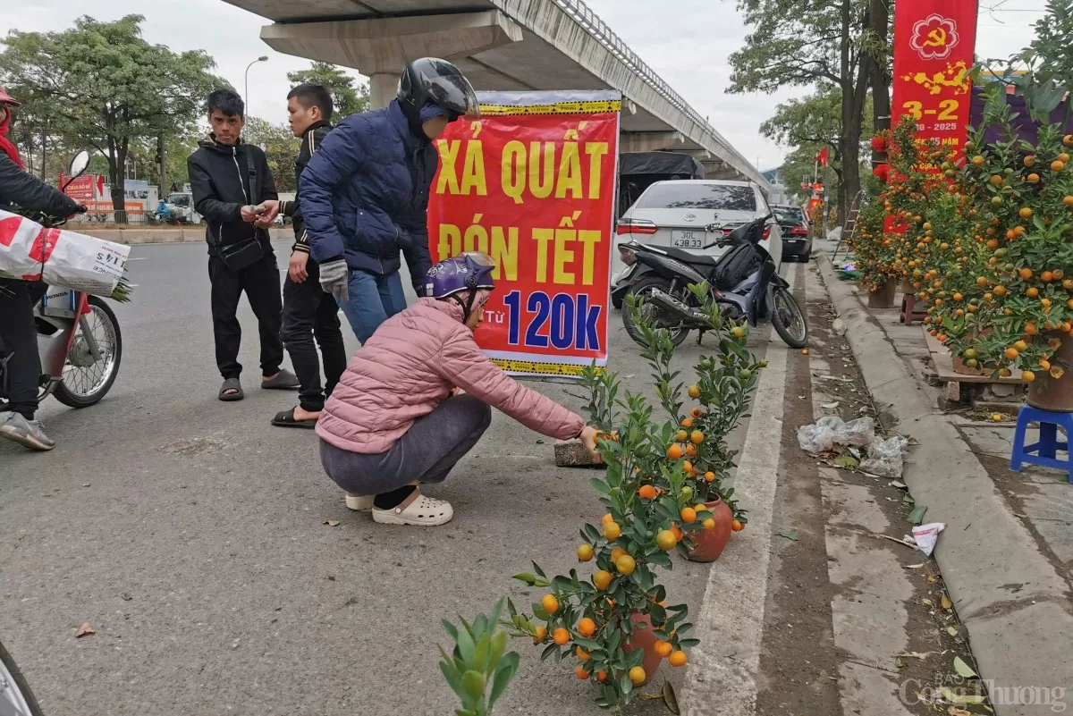 Thị trường đào, quất Hà Nội: Tiểu thương xả hàng, cắt lỗ vẫn vắng khách mua