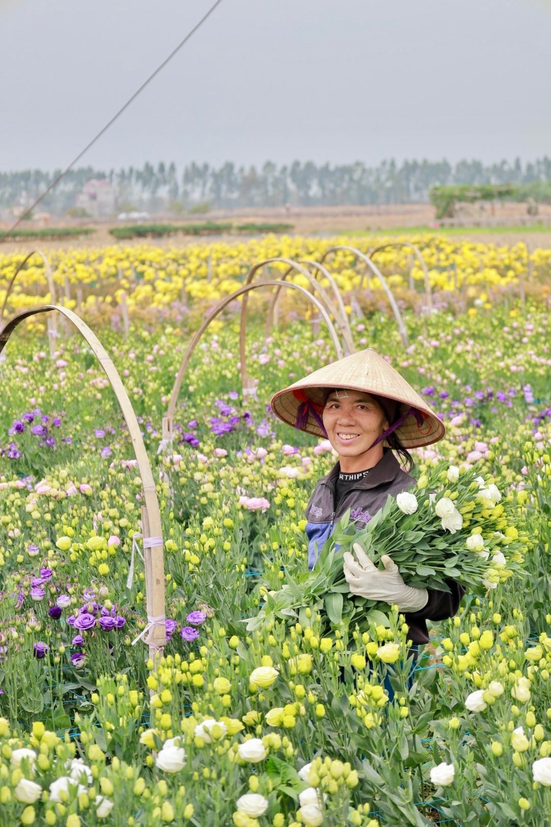 Cho đời thêm đẹp