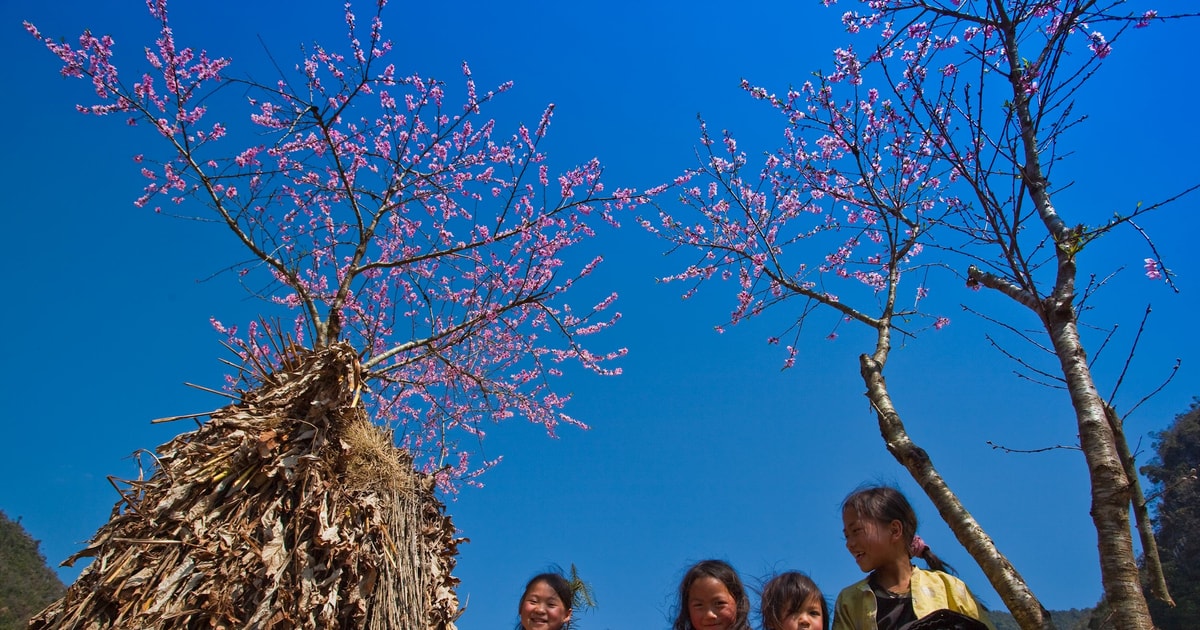 Ăn tết cùng người ở rẻo cao