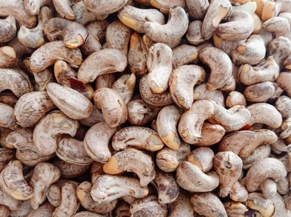 Vietnam is the largest market for Cambodian cashew nuts.