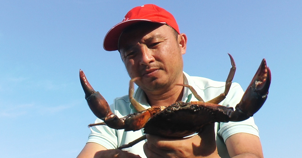 El cangrejo Ca Mau establece un récord al superar los 1,1 millones de VND/kg