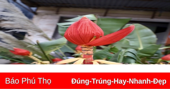 Rực rỡ hoa chuối rừng ngày Tết