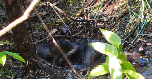 Hallado un cuerpo carbonizado en el bosque