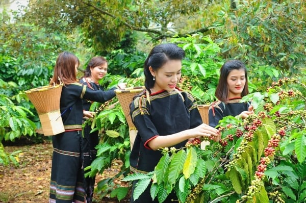 Northern Europe increases green conversion, opportunities for Vietnamese businesses