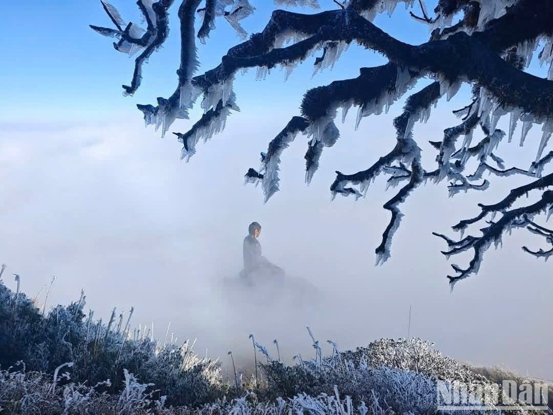 Am Nachmittag des 27. Tet fiel plötzlich Schnee auf das Dach von Indochina, Foto 5