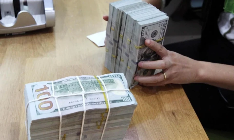 Attracting Remittances: A Bright Spot in Vietnam's Economy