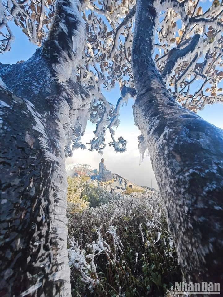 Am Nachmittag des 27. Tet fiel plötzlich Schnee auf das Dach von Indochina, Foto 4