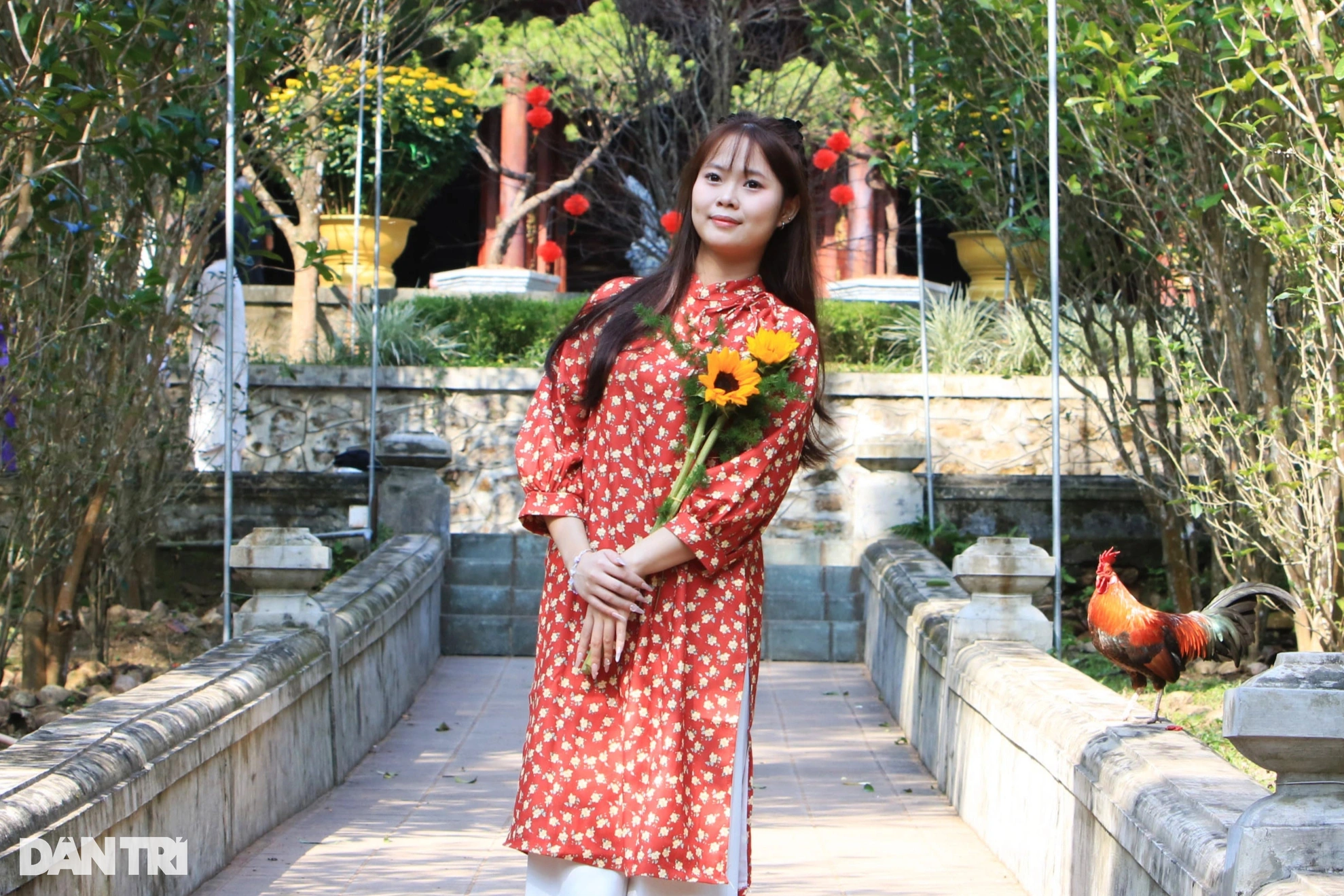 Lost in the Zen monastery, flower hill of Hue