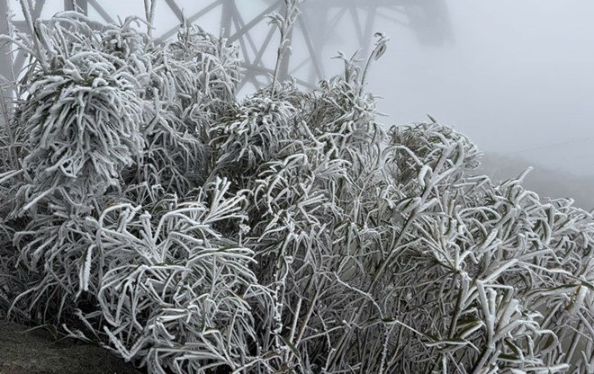 ファンシーパン山頂に雪が降る