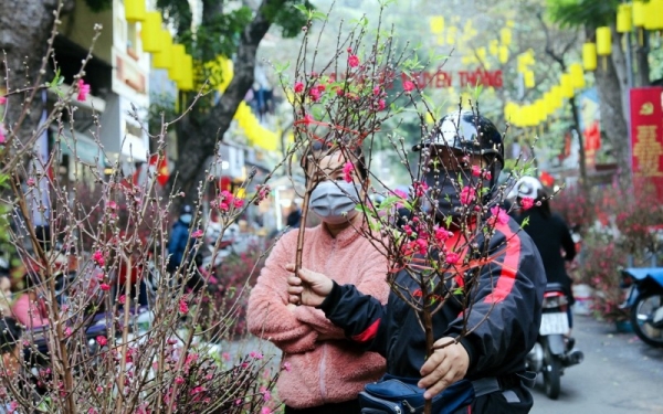 No crees alegría a partir de la tristeza de los vendedores de flores del Tet