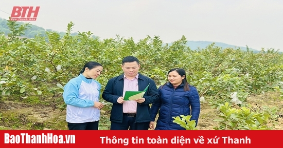 Nhộn nhịp phiên giao dịch tài chính cho hộ nghèo, gia đình chính sách