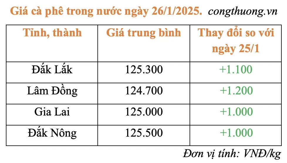 Giá cà phê hôm nay 26/1/2025: