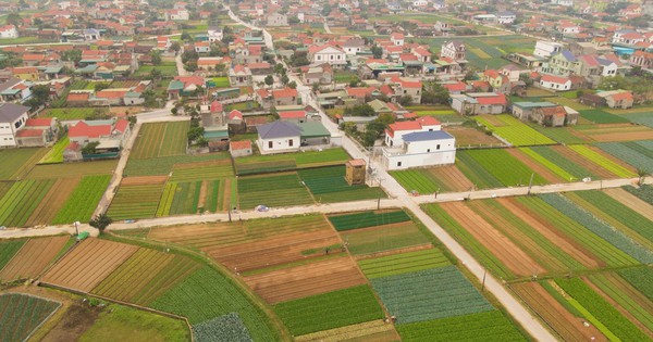 Das ganze Dorf in Nghe An hat sein Leben verändert, um das ganze Jahr über Gemüse anzubauen. Die Landschaft ist so schön wie im Film, und Tet ist noch schöner