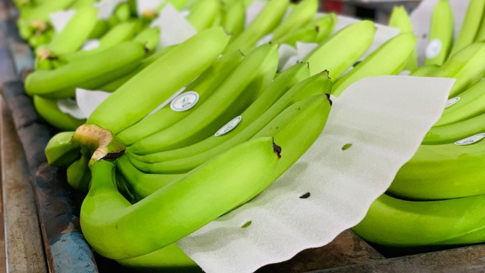 Verbrauch diese Woche (20.-26. Januar 2025): Wassermelone, Grapefruit, grüne Banane, ... Preise „tanzen“ anlässlich von Tet 2025