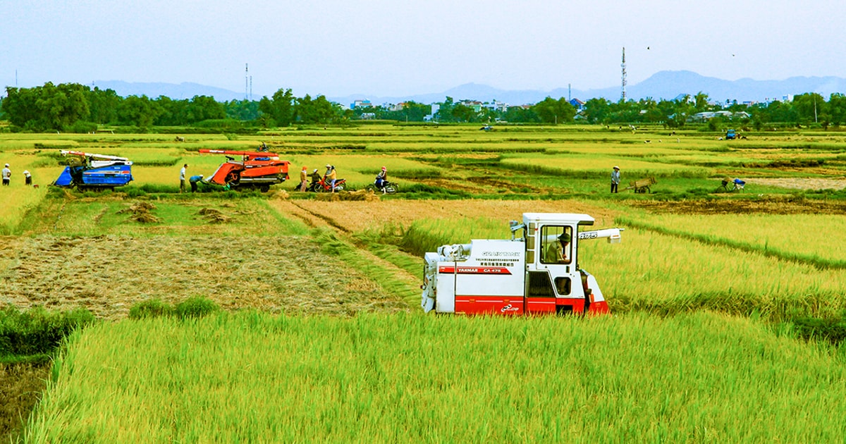 “Cởi trói”, vượt lên chính mình