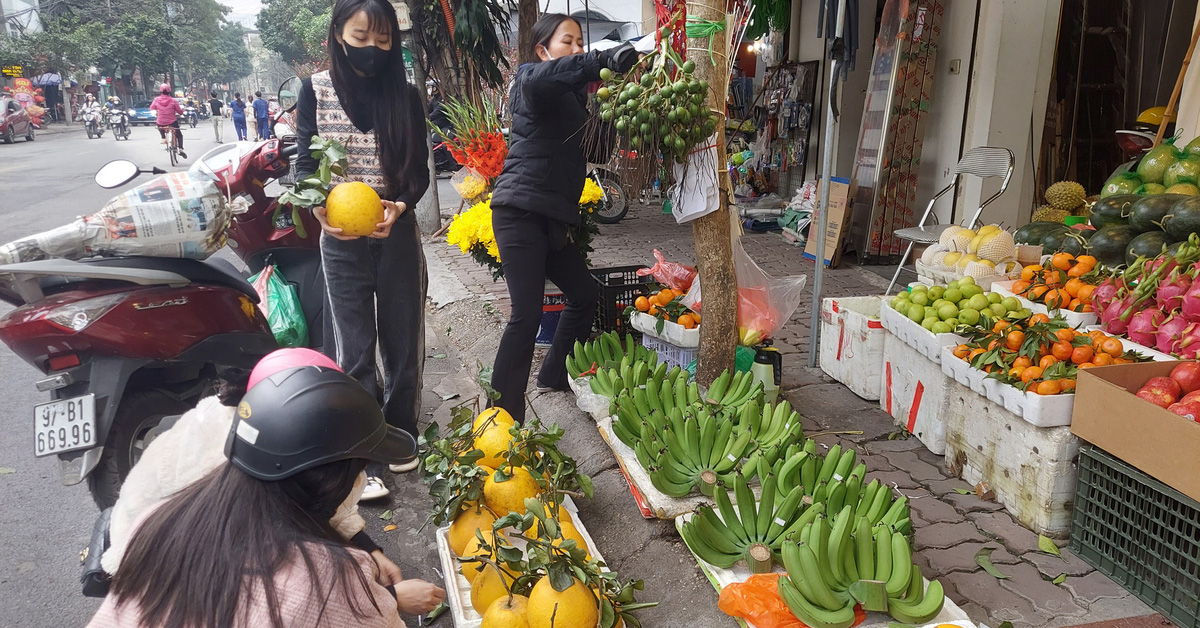 Pourquoi le prix des bananes a-t-il grimpé jusqu’à plusieurs centaines de milliers de dollars par régime ?