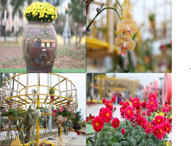 The vibrant spring flower street in Bac Ninh (photo 7)