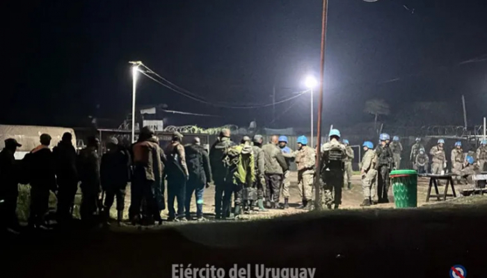 Les rebelles entrent dans le centre de Goma, la situation en RDC est chaotique