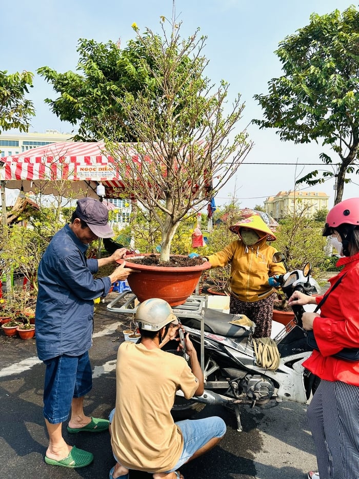 Nhộn nhịp chợ 28 Tết