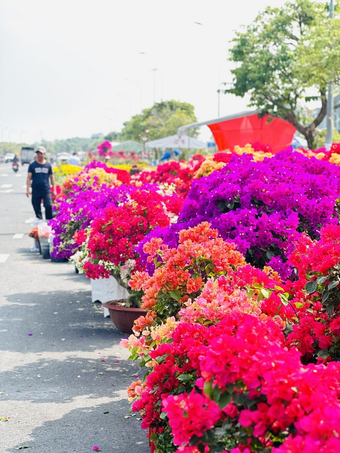 El precio de las flores ornamentales este año se mantiene estable, algunos tipos se han enfriado.