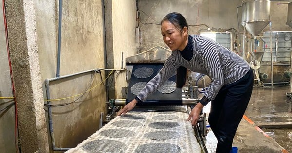 Los trabajadores de la aldea de papel de arroz de Nghe An están ocupados durante las vacaciones del Tet