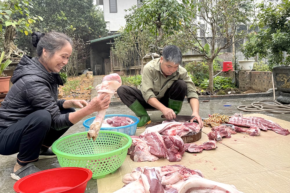 “Đụng lợn” ngày Tết