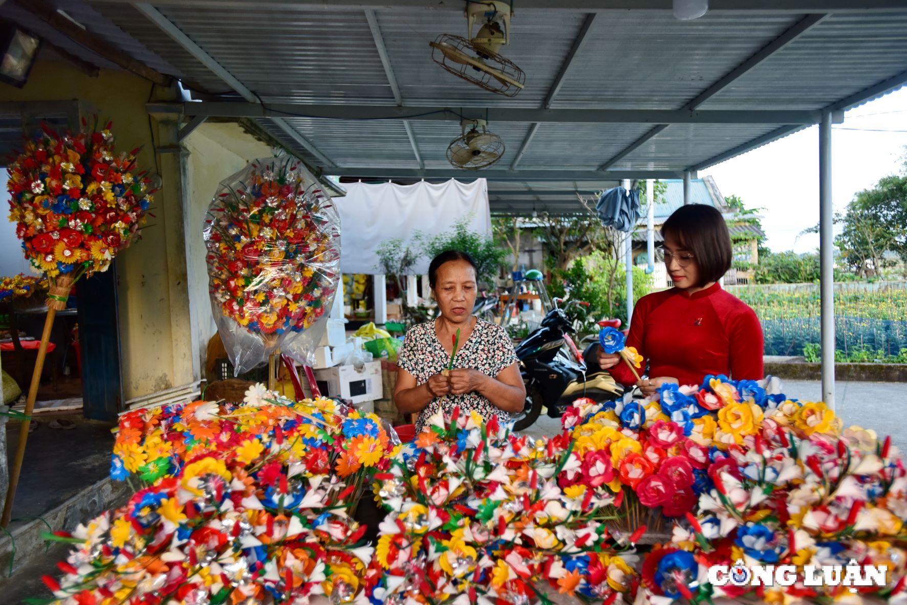 hue hoai co trong sac mau hoa giay thanh tien hinh 3