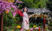 Young girl takes Tet photos at a sacred pagoda in Nghe An