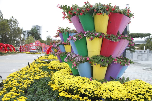 The vibrant spring flower street in Bac Ninh (photo 3)