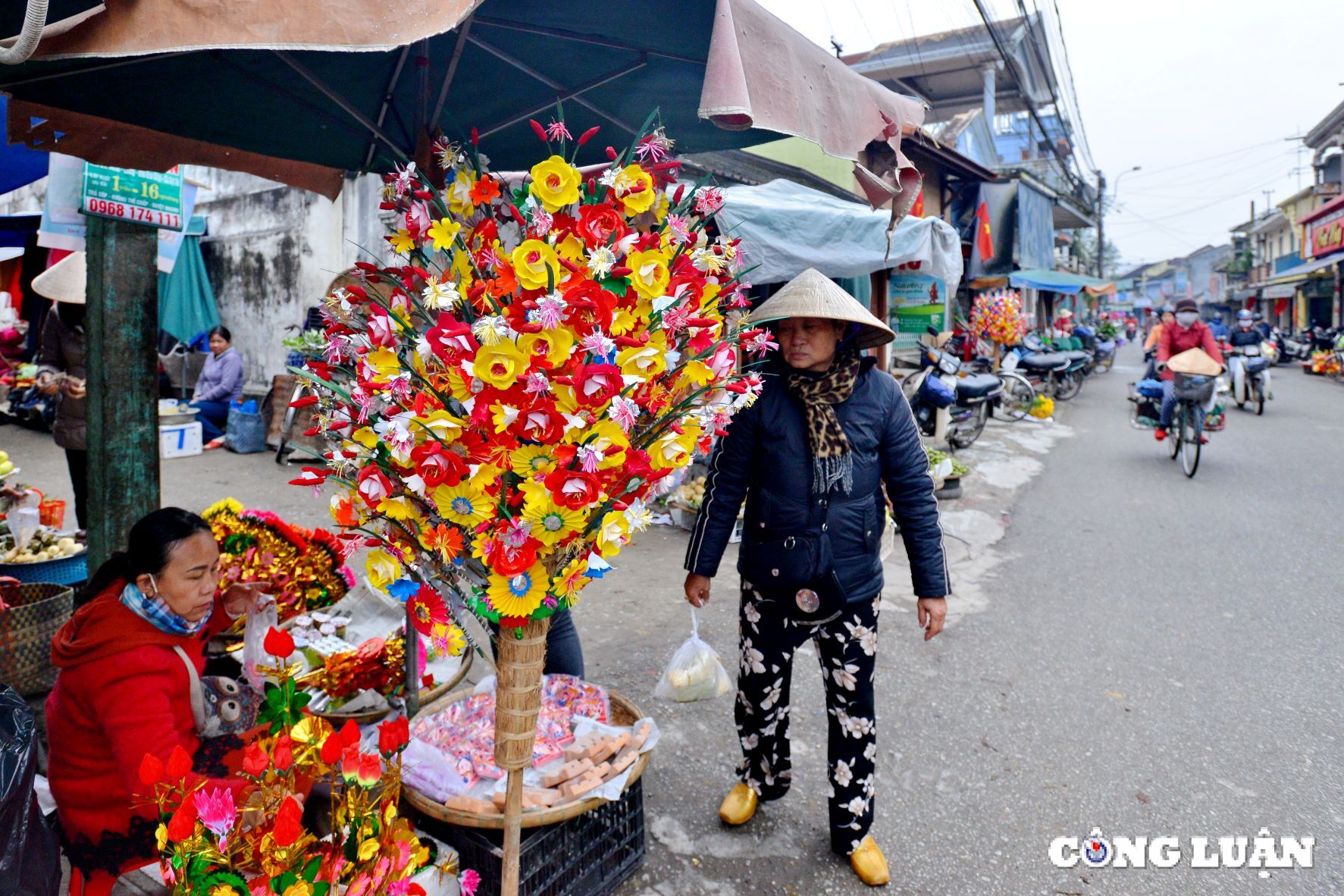 hue hoai co trong sac mau hoa giay thanh tien hinh 14