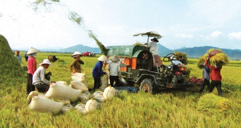 Construire un mécanisme pour favoriser le développement de la logistique au service de la production et du commerce agricoles