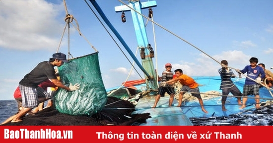 Hướng tới xây dựng ngành thủy sản bền vững