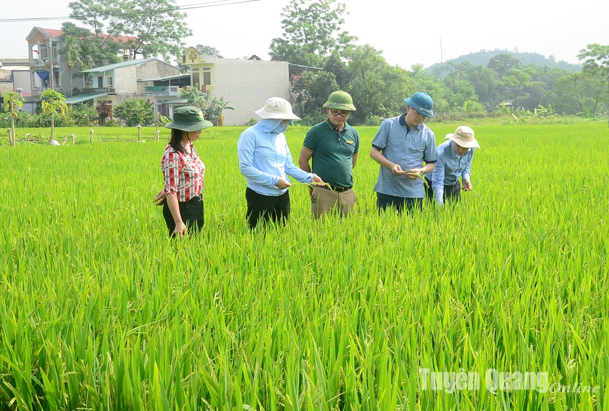 ជំនះព្យុះដើម្បីស្វាគមន៍និទាឃរដូវ