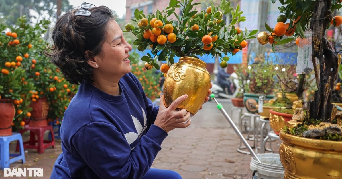 Hanoï : des kumquats plaqués or 24 carats coûtant plusieurs millions de VND attirent les clients pour célébrer le Têt