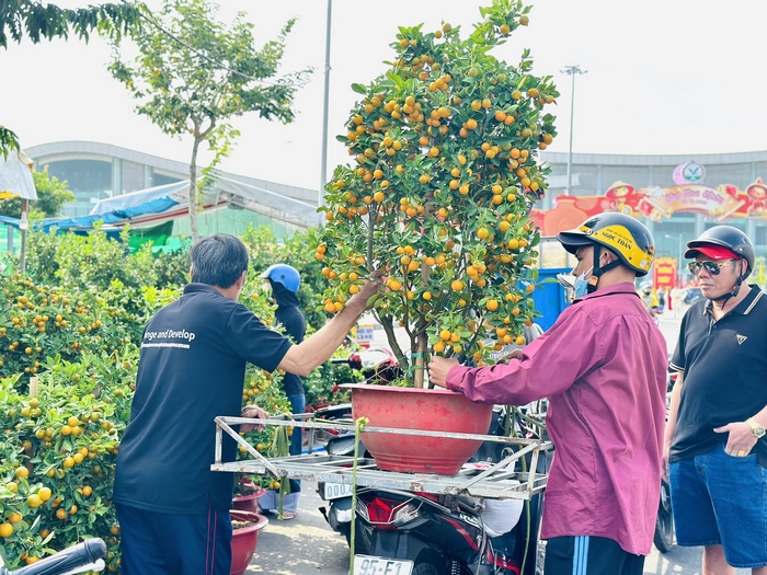 La gente aprovecha la oportunidad para “llevar” flores del Tet a casa.