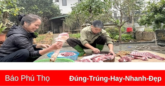 “Đụng lợn” ngày Tết