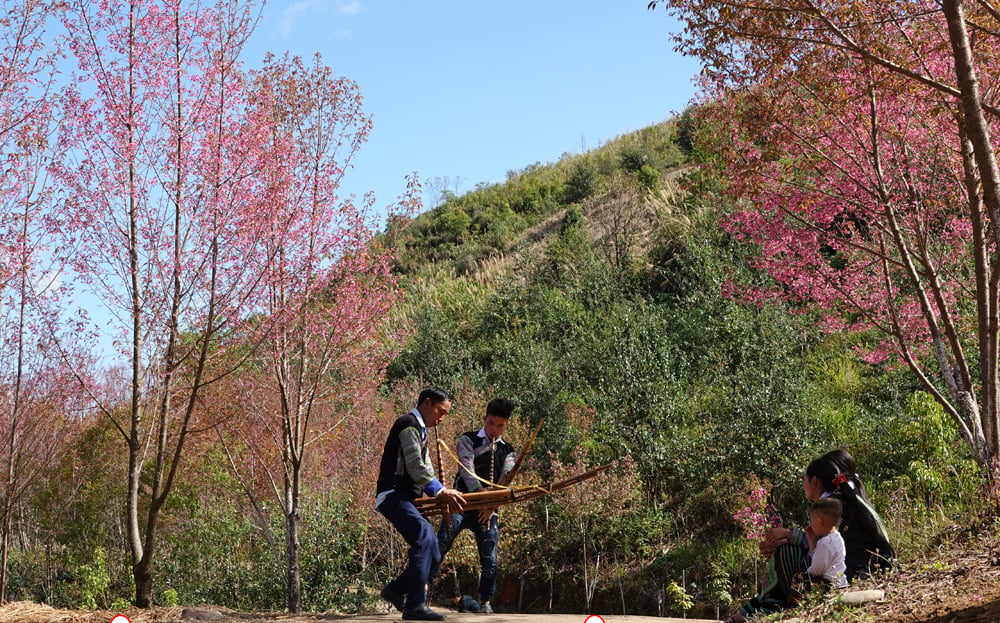 Mong flute - the sound of the great Mu Cang Chai forest