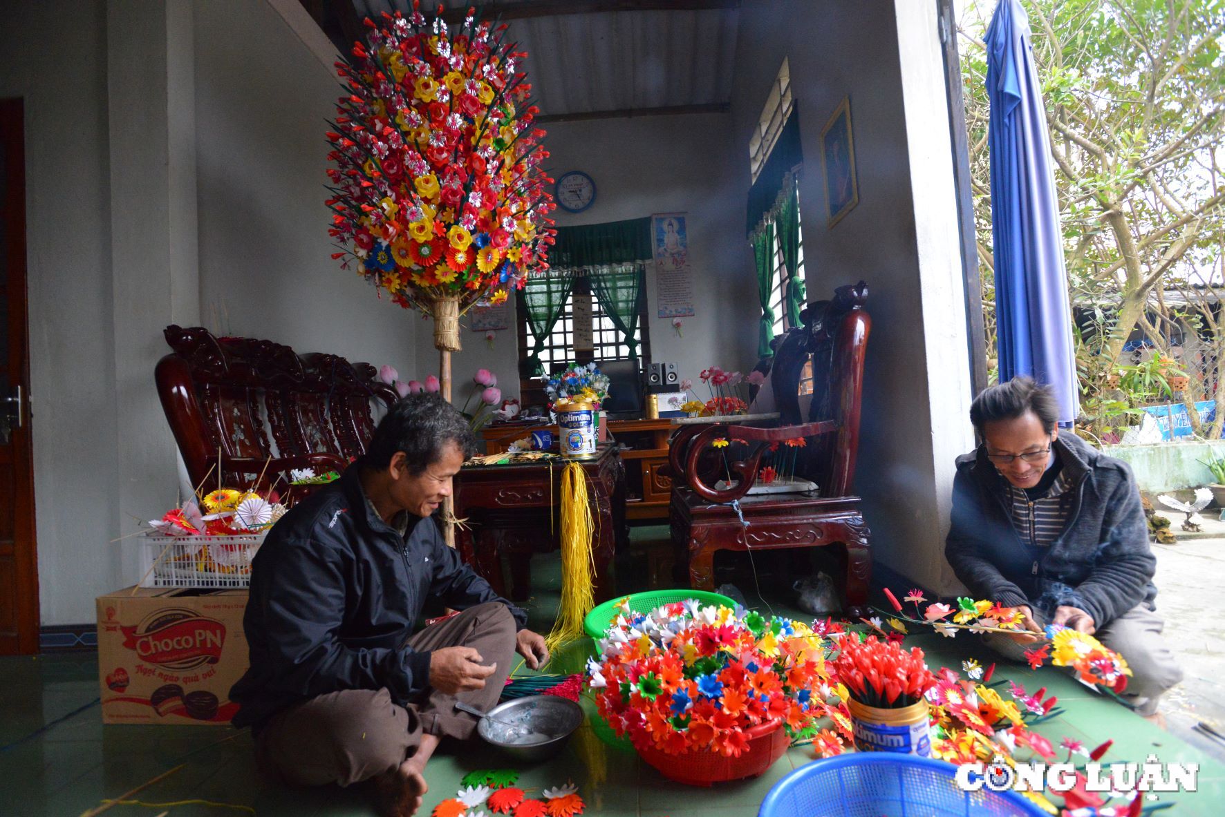 hue hoai co trong sac mau hoa giay thanh tien hinh 1