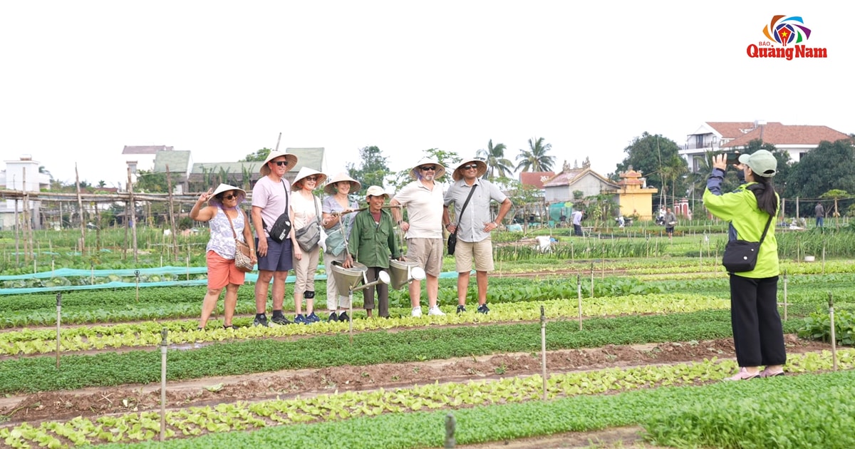 Sắc xuân ở làng rau Trà Quế