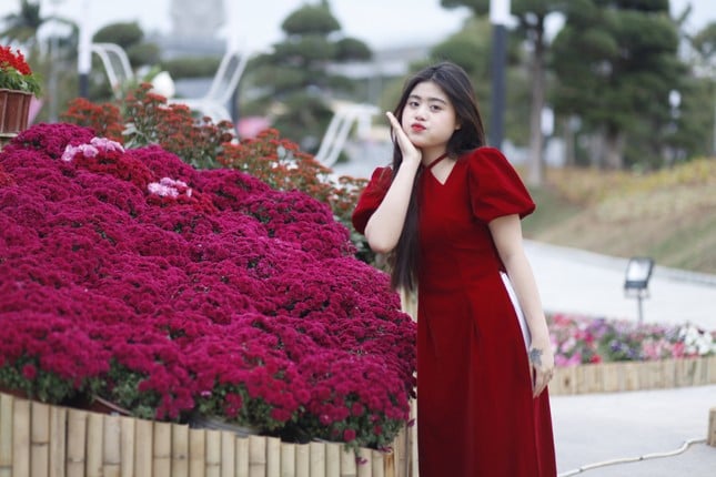The vibrant spring flower street in Bac Ninh (photo 9)