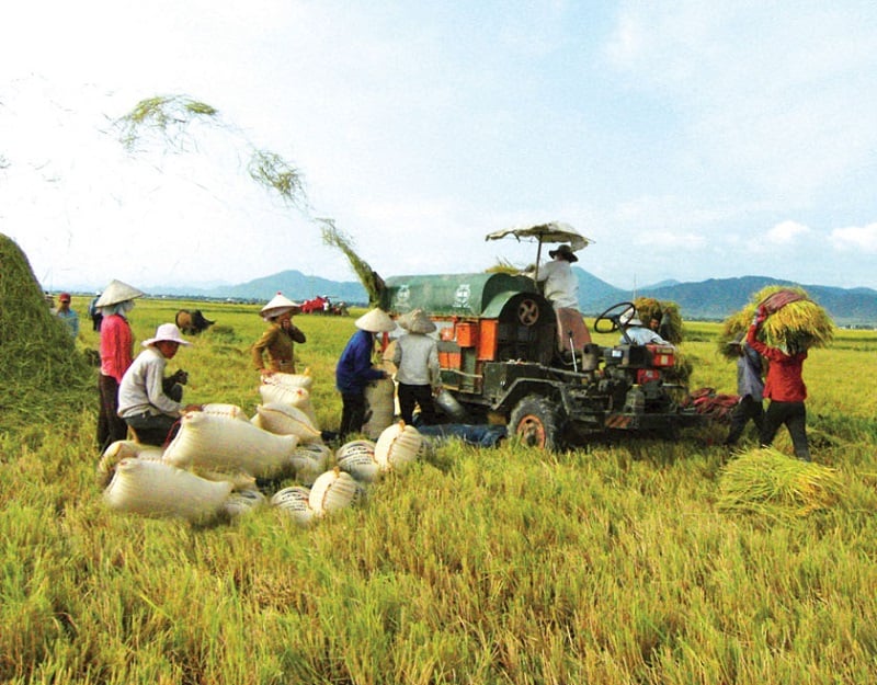 Les services logistiques pour la production et l’activité agricoles ne se sont pas développés de manière synchrone et ne sont pas étroitement liés aux zones de matières premières et entre les zones de matières premières et la transformation et la consommation des produits agricoles.