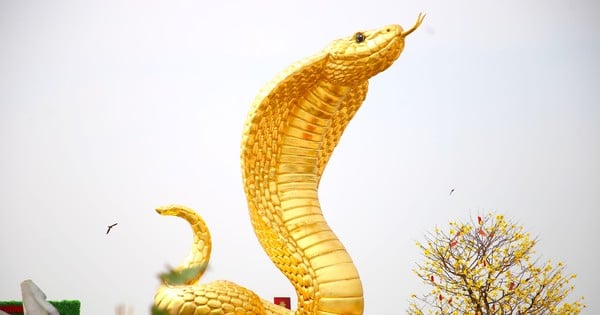 Un serpent, une mascotte unique, provoque de la fièvre pendant les vacances du Têt en Occident