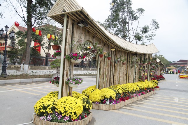 The vibrant spring flower street in Bac Ninh (photo 6)