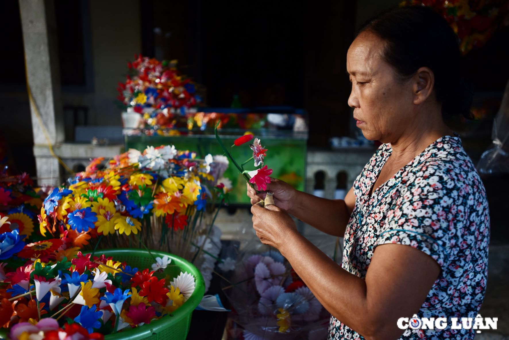 hue hoai co trong sac mau hoa giay thanh tien hinh 2