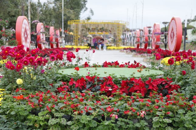 The vibrant spring flower street in Bac Ninh (photo 4)