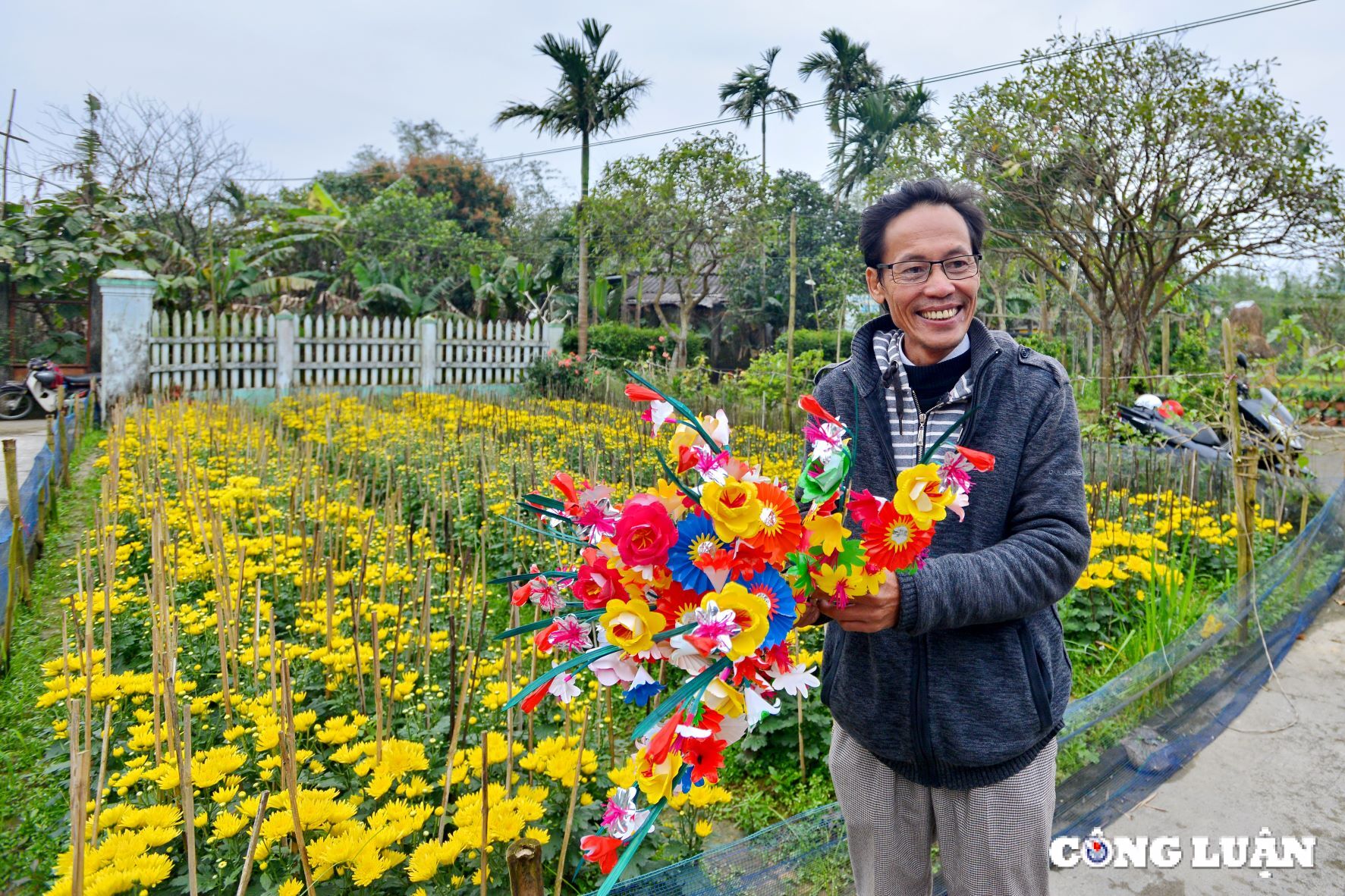 hue hoai co trong sac mau hoa giay thanh tien hinh 11