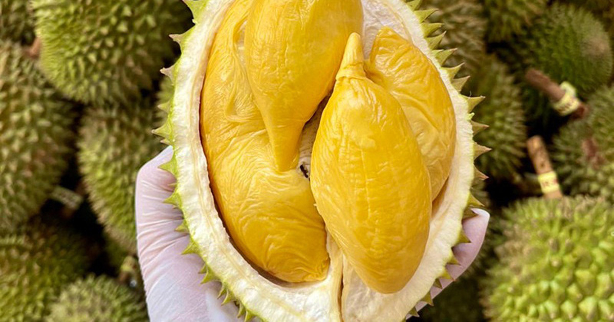 List and addresses of 9 laboratories testing O gold in Vietnamese durian recognized by China